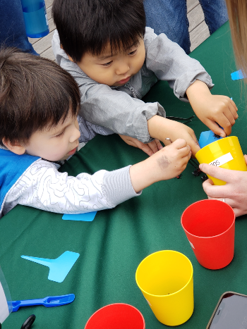 Young children at Berkeley Bug Day