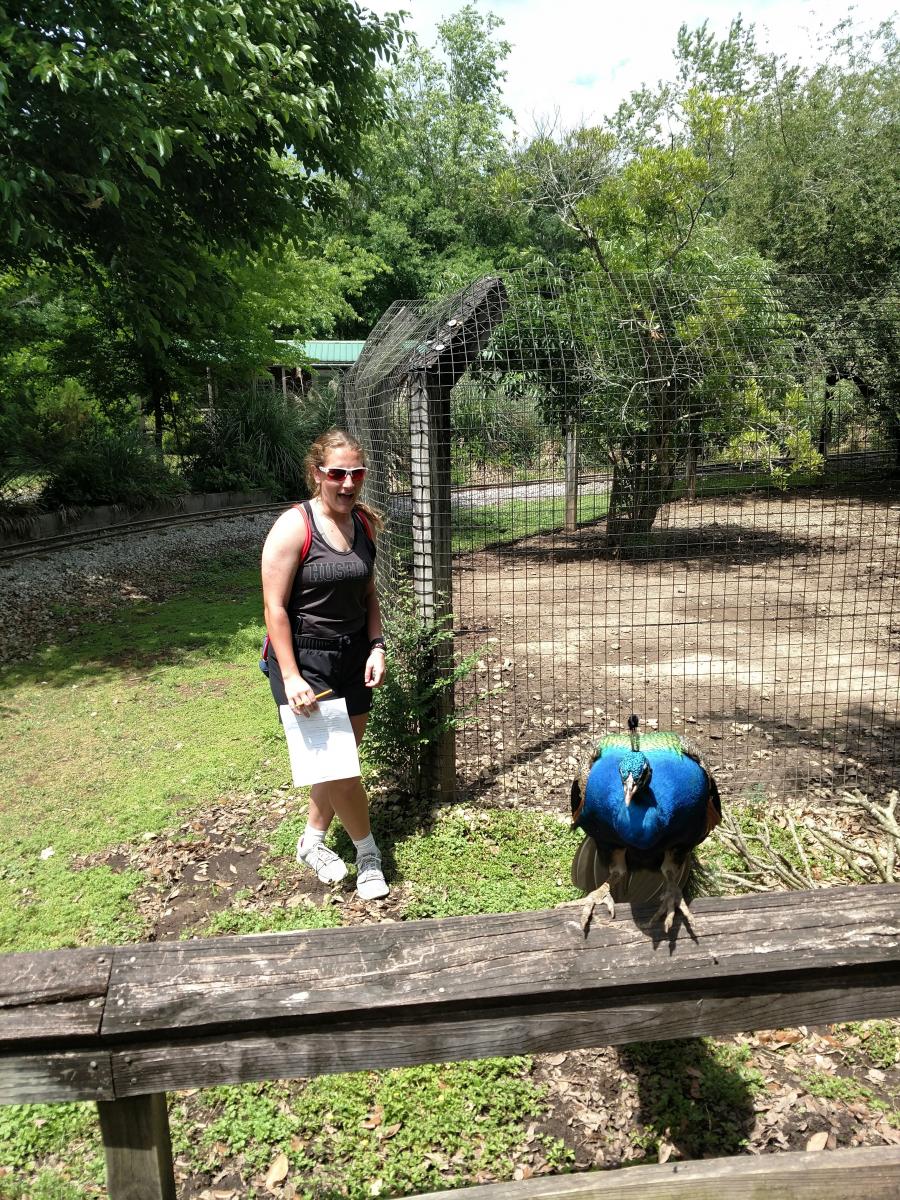 Student with peacock