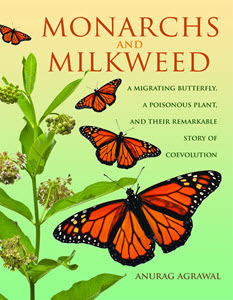 Monarchs and Milkweed cover