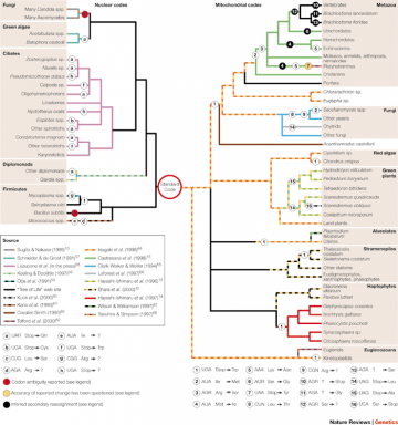 Code Variants: from Knight RD, Freeland SJ, Landweber LF. "Rewiring the keyboard: evolvability of the genetic code." Nat Rev Genet. 2001; 2:49-58