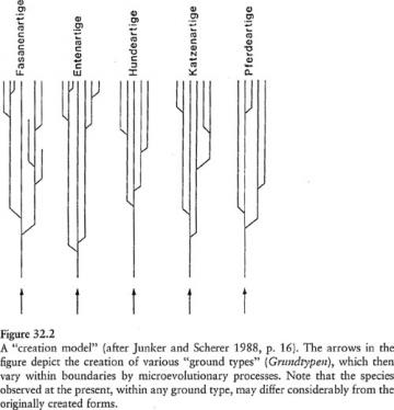 "Creation model": Explore Evolution co-author Paul Nelson's preferred "creation model," copied from a German creationist textbook.    Paul Nelson (2001) "The Role of Theology in Current Evolution," in Intelligent Design Creationism and Its Critics Robert Pennock, ed. The MIT Press:Cambridge, Ma. pp. 685.