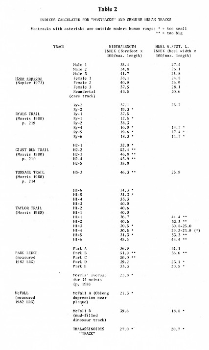 Table 2: Indices calculated for mantracks and genuine human tracks