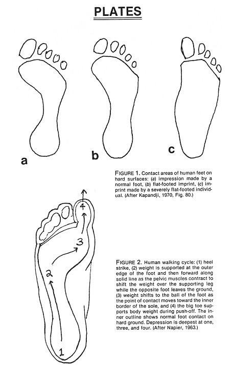 Figures 1-2