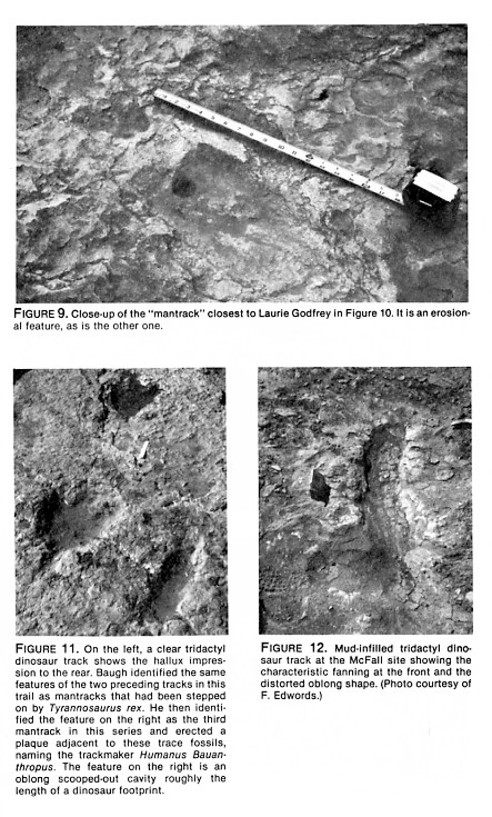 Figures 9,11-12