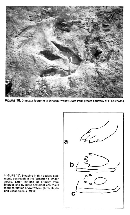 Figures 16-17