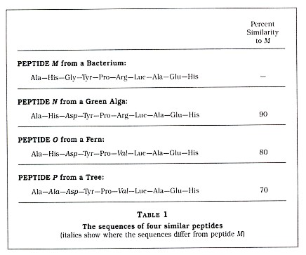 Table 1: The sequences of four similar peptides