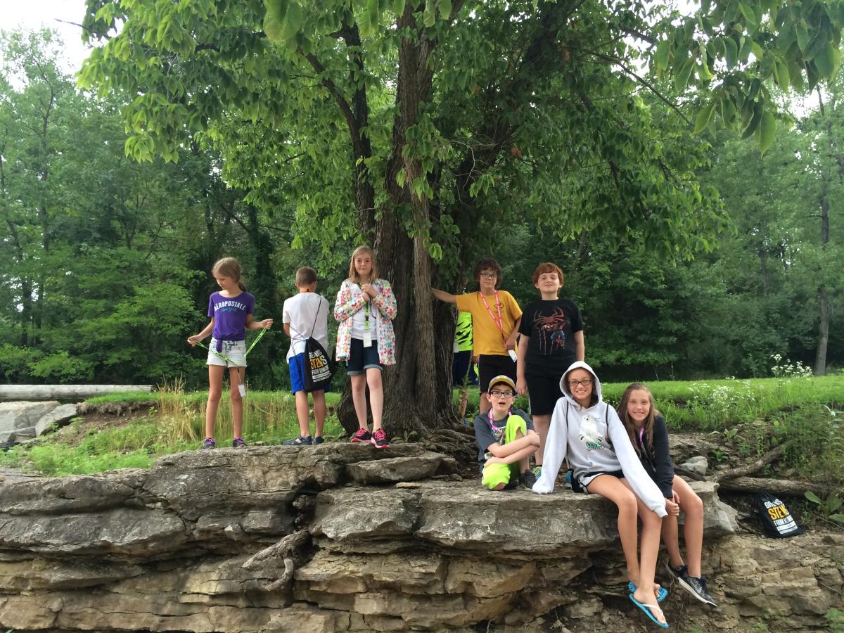 On top of a fossil outcrop