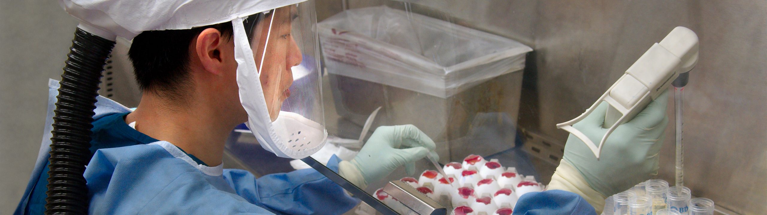 A scientist working on a vaccine