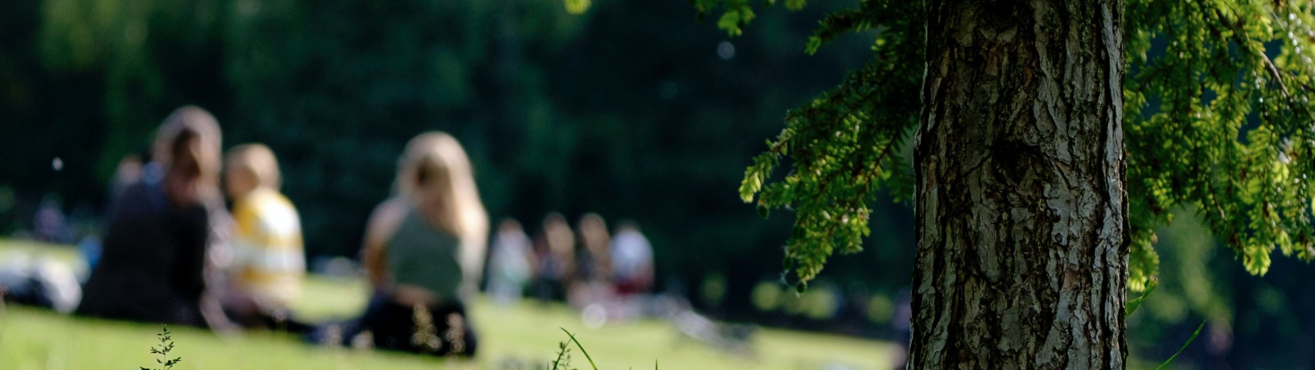 people in a park