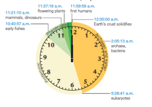 Deep time expressed as a clock