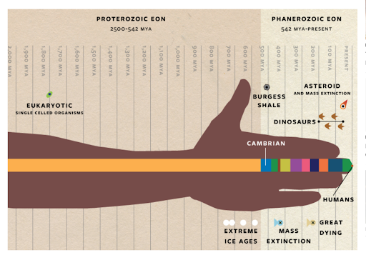 Deep time expressed as an arm