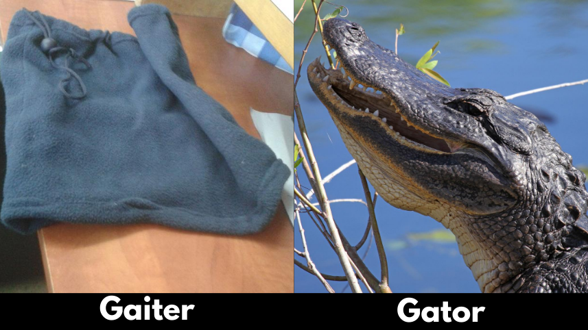 A neck gaiter and an alligator