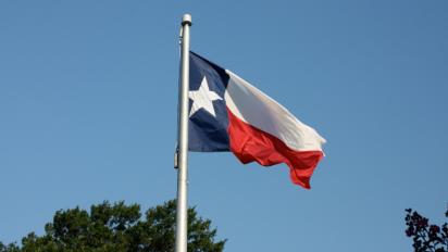 Flag of Texas