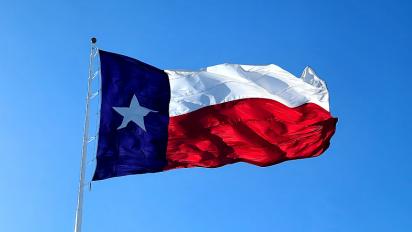 Flag of Texas.