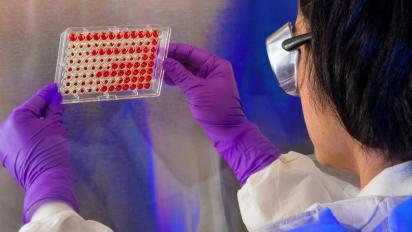 Scientist examining an antibody test.