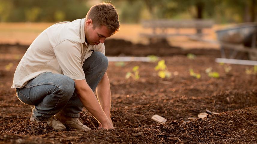 Man planting