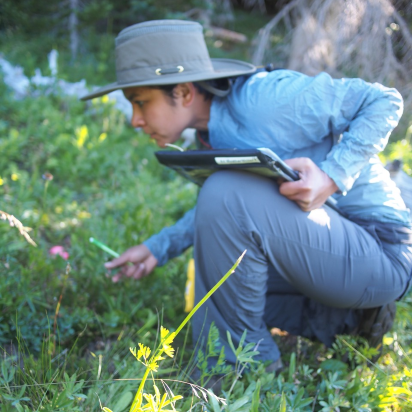 NCSE Graduate Student Fellow Meera Sethi